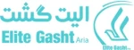 استخدام کارمند آژانس مسافرتی در مجموعه الیت گشت آریا
